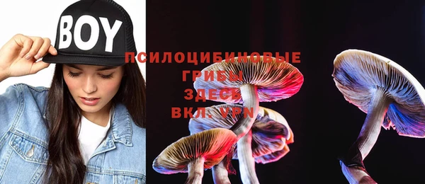 эйфоретик Белоозёрский