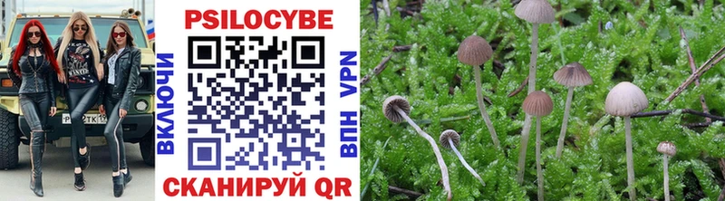 Псилоцибиновые грибы Psilocybe  Нарткала 